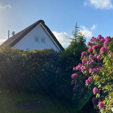 Ferienhaus Butterblume Südbrookmerland Zewnętrze zdjęcie
