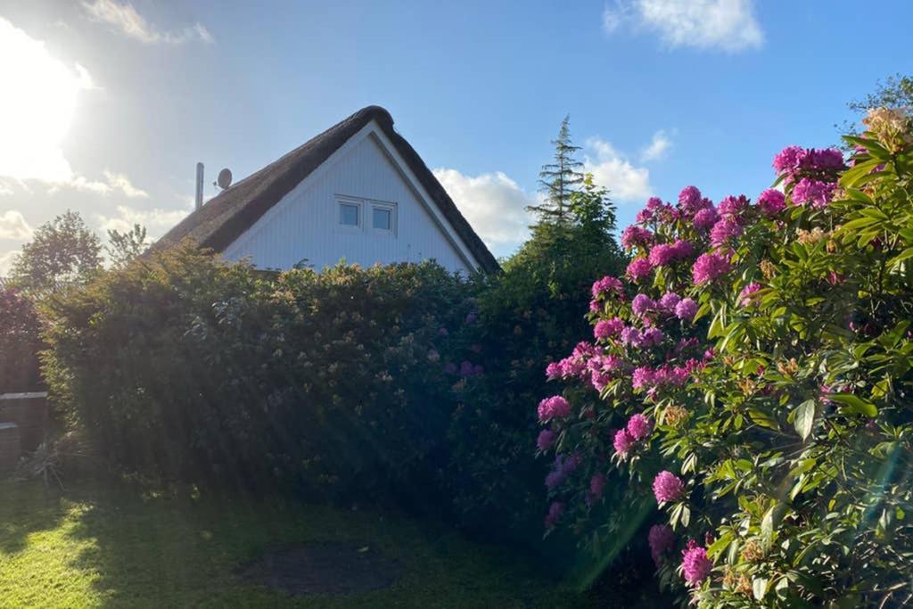 Ferienhaus Butterblume Südbrookmerland Zewnętrze zdjęcie
